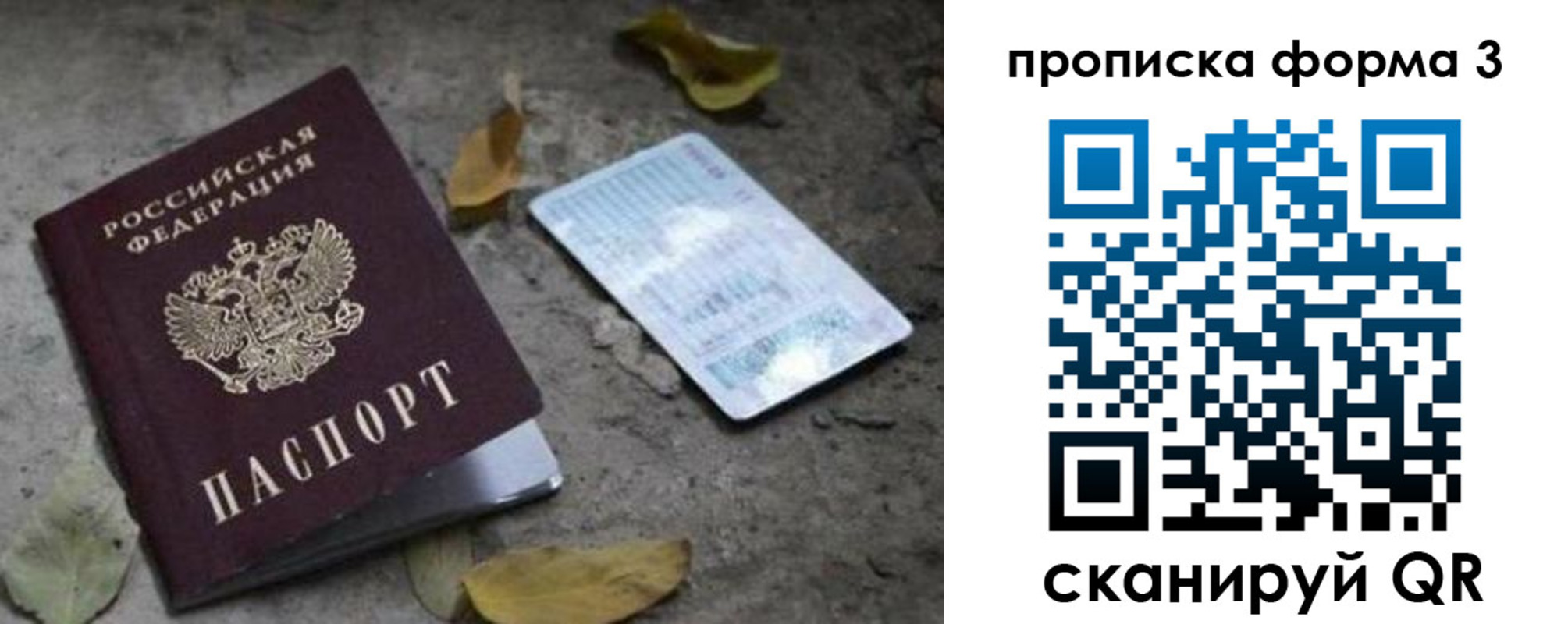 прописка для школы в Елабуге